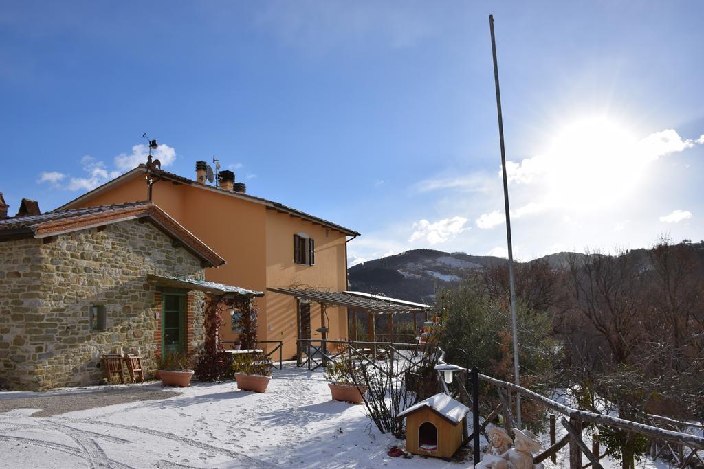 Agriturismo La Coccinella Valfabbrica Exterior photo